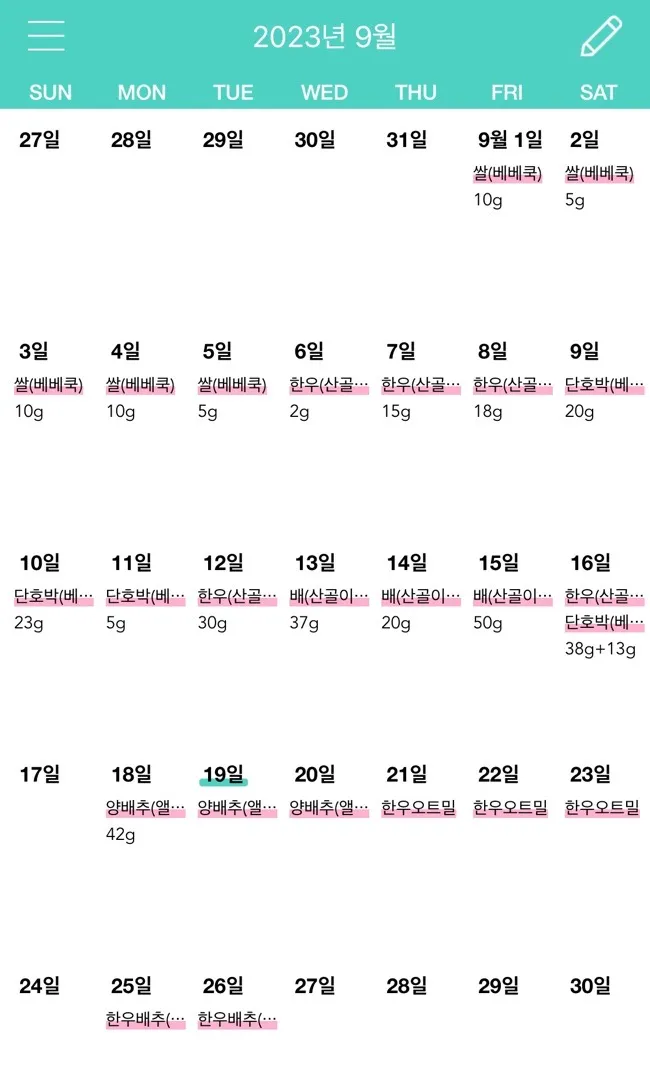 시판 이유식 초기(준비기) 경험담+팁 공유