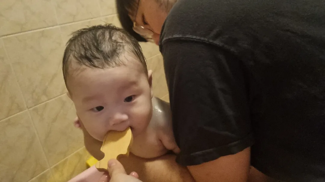 편백나무 장난감 추천합니당