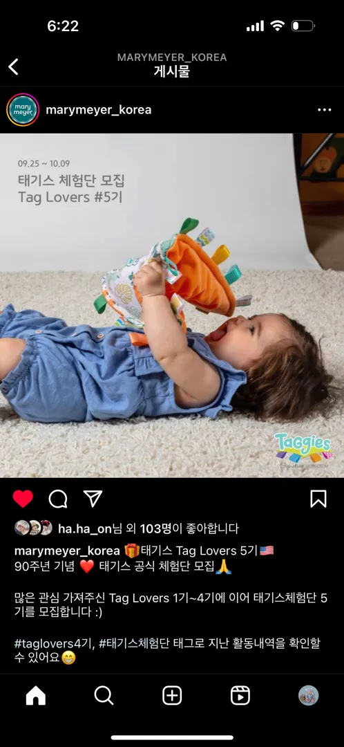 태기스 5기 모집한데요!!