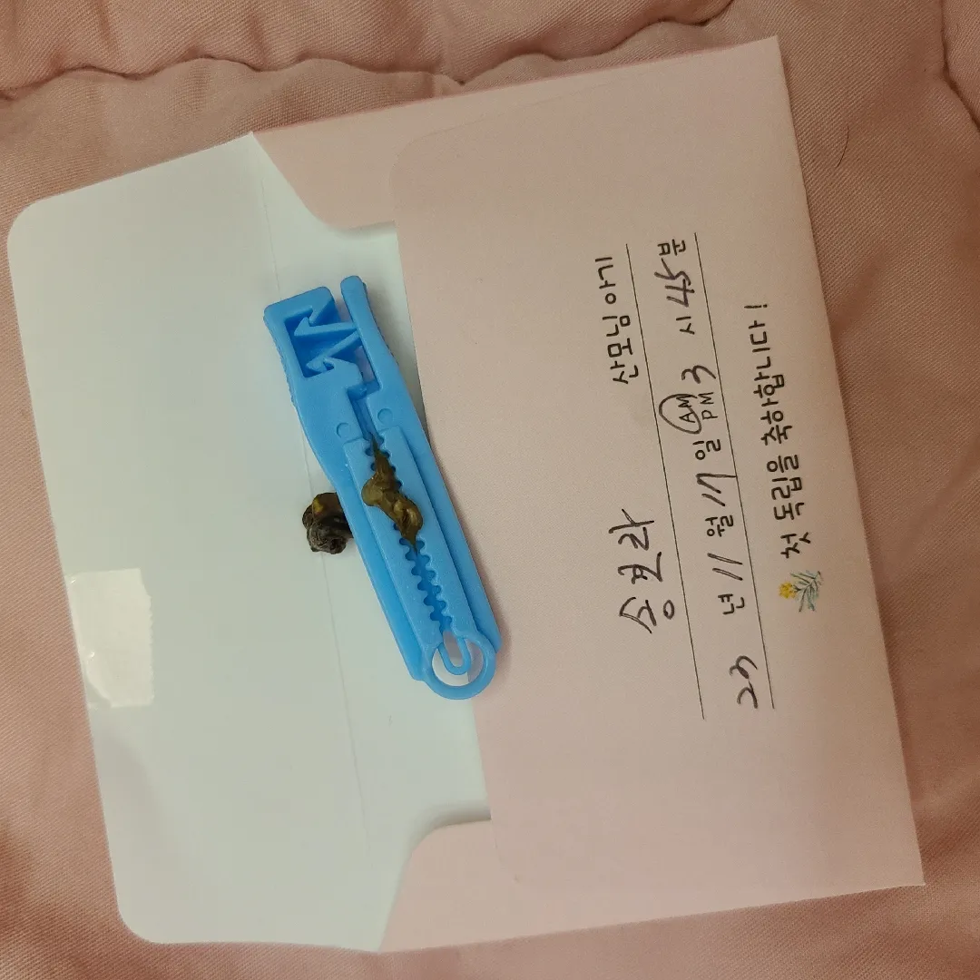 제대탈락 해썽요~~