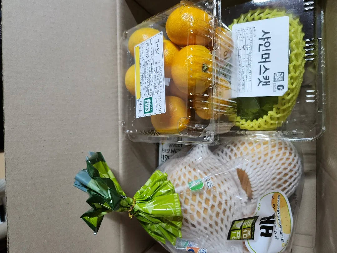 가정보육어린이 건강과일왔어요!