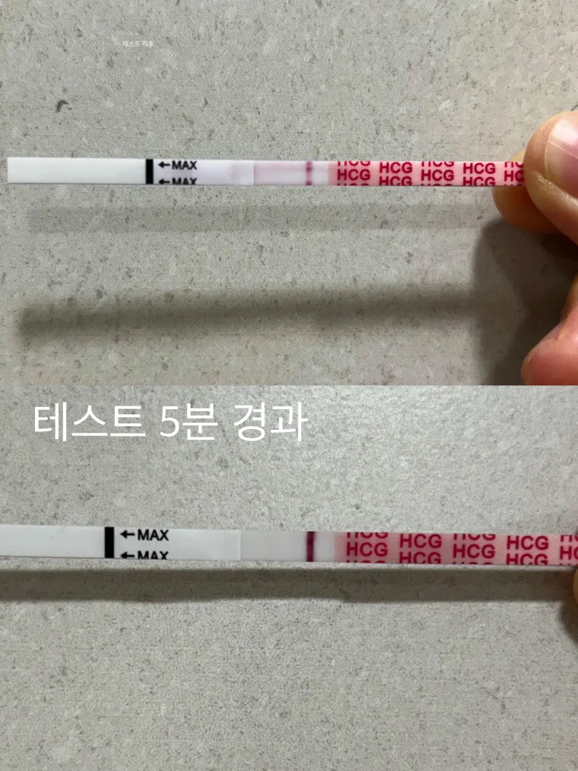 생예 3일 전 임테기 한 번 봐주세요