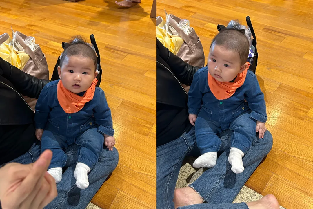 가을복고