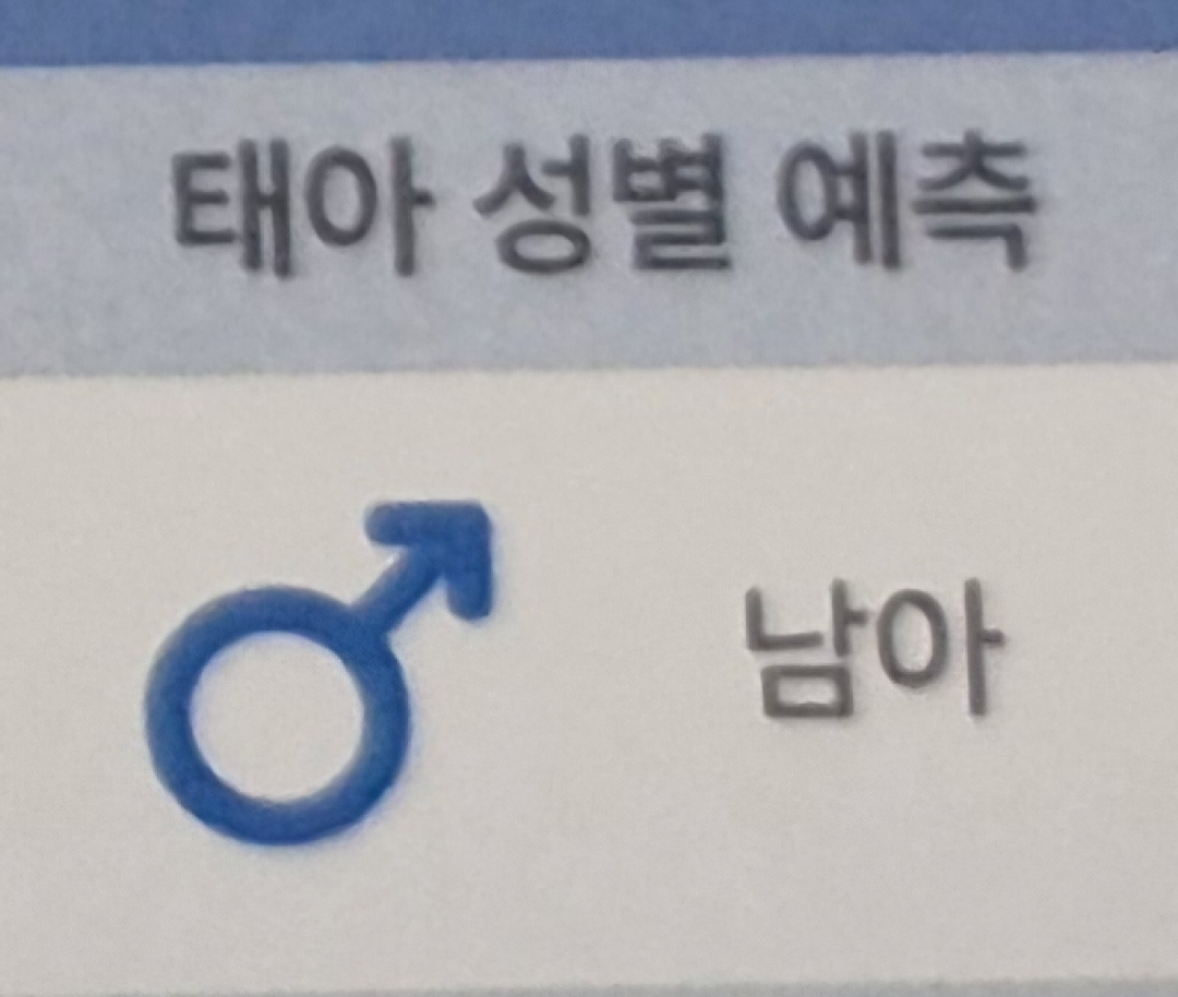 13주차 남매맘 확정!!