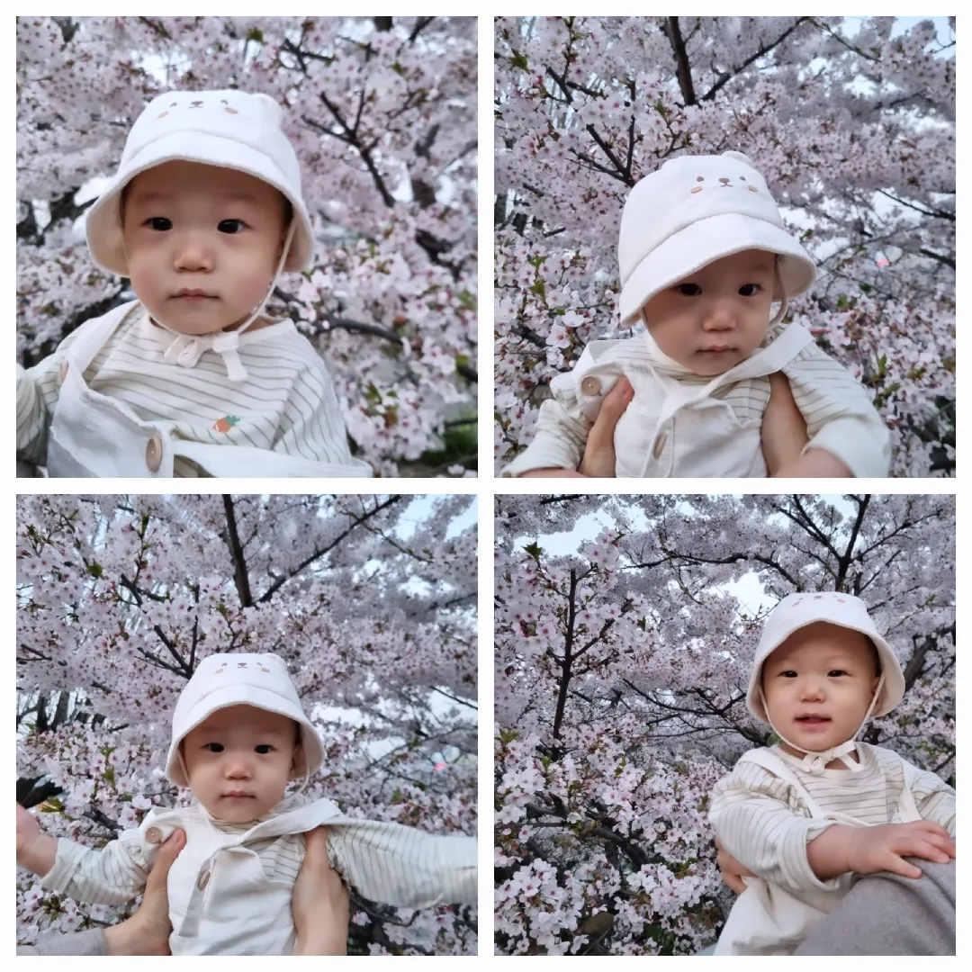 우당탕탕 꽃놀이 다녀왔어요🌸