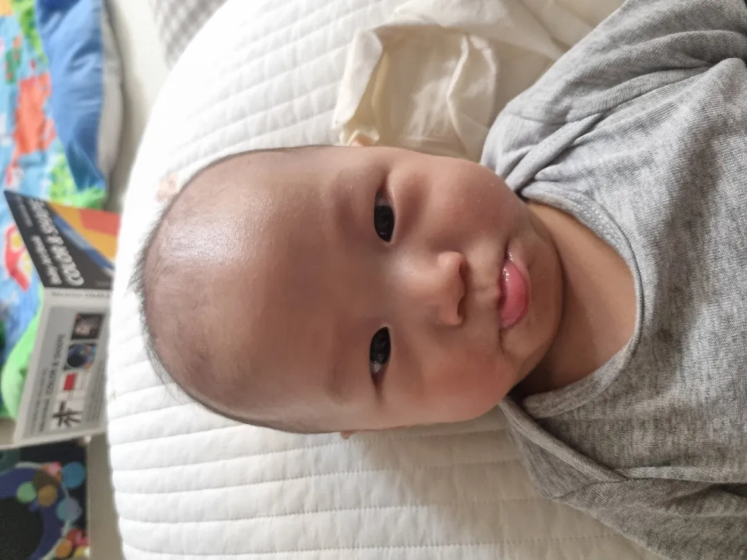 4개월 원더윅스 얼마나 가나요?