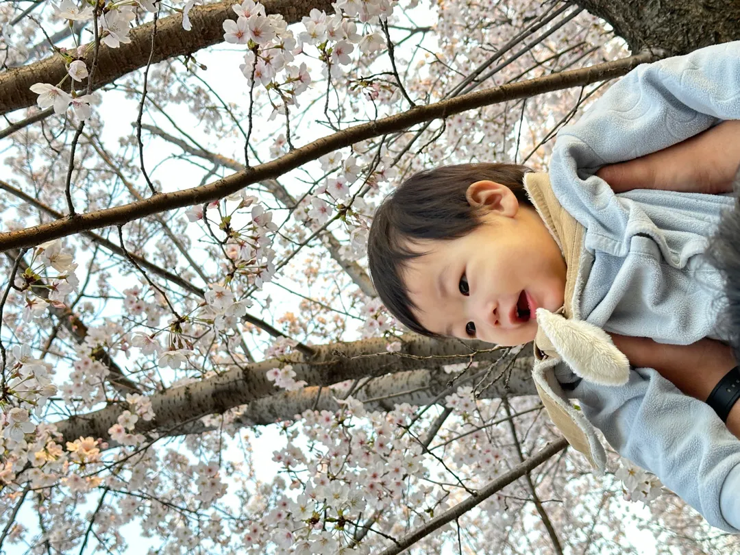 걸음마 아직 못걸은 아기 있으신가요?