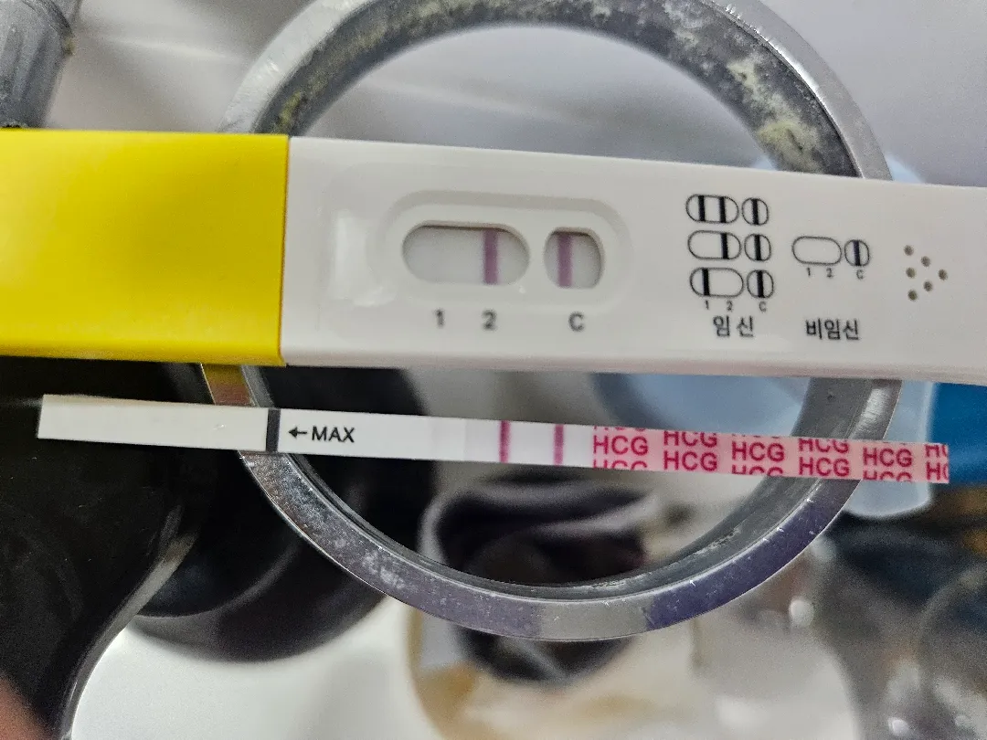 오늘 아기집 볼수있을까용~