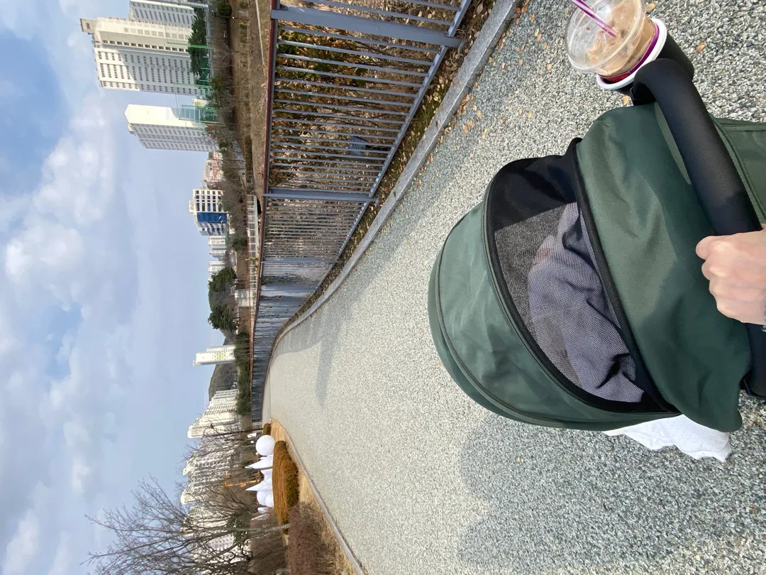 산책중이신분!!