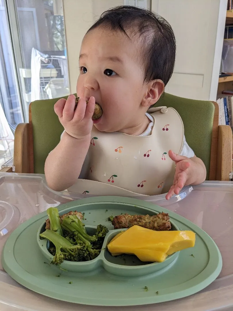 219일차 - 하루 3끼 고형식 시작했어요. (분리수유에서 다시 보충수유로..? 🤔)