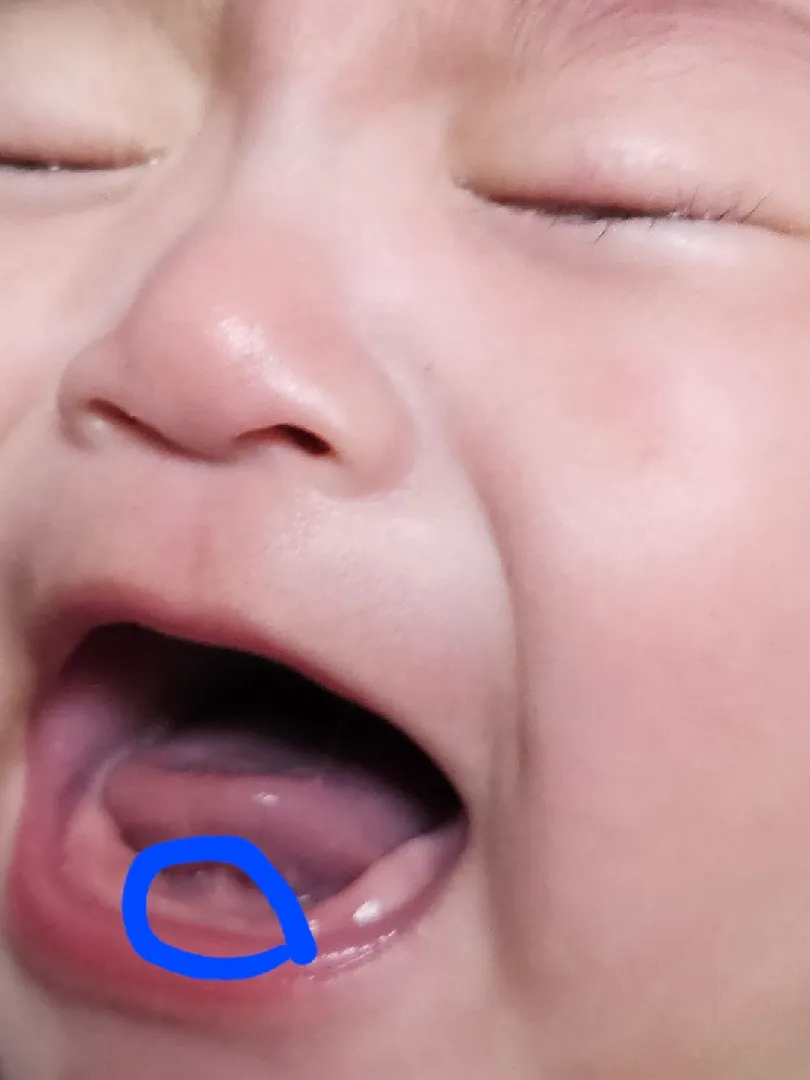 이거 이 나는거 맞나요???