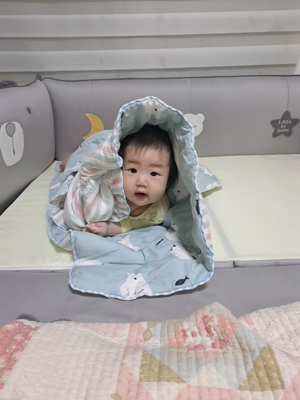 안녕하세요 오랜만에 서린이 근황 올려봐요 