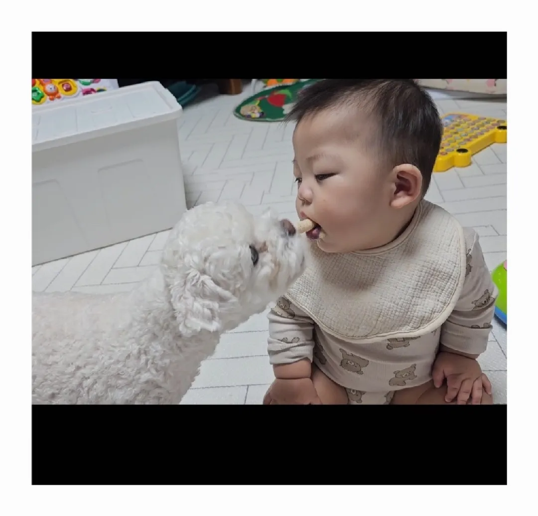 애👶🏻개🐶🫶🏻🫶🏻