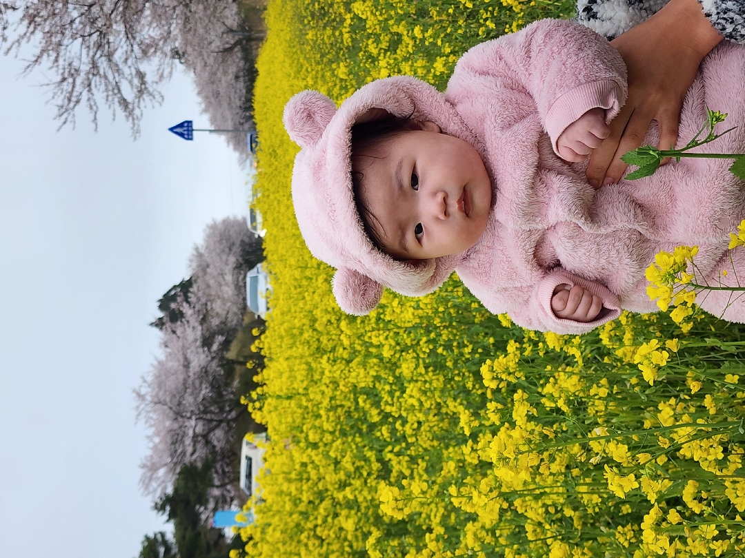 유체꽃 활짝>_<