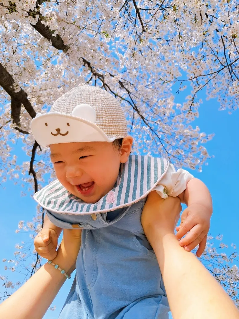 벚꽃 엔딩🌸