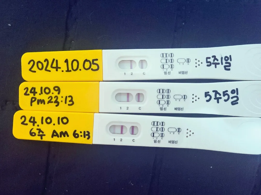잘진해지고있는거죵?