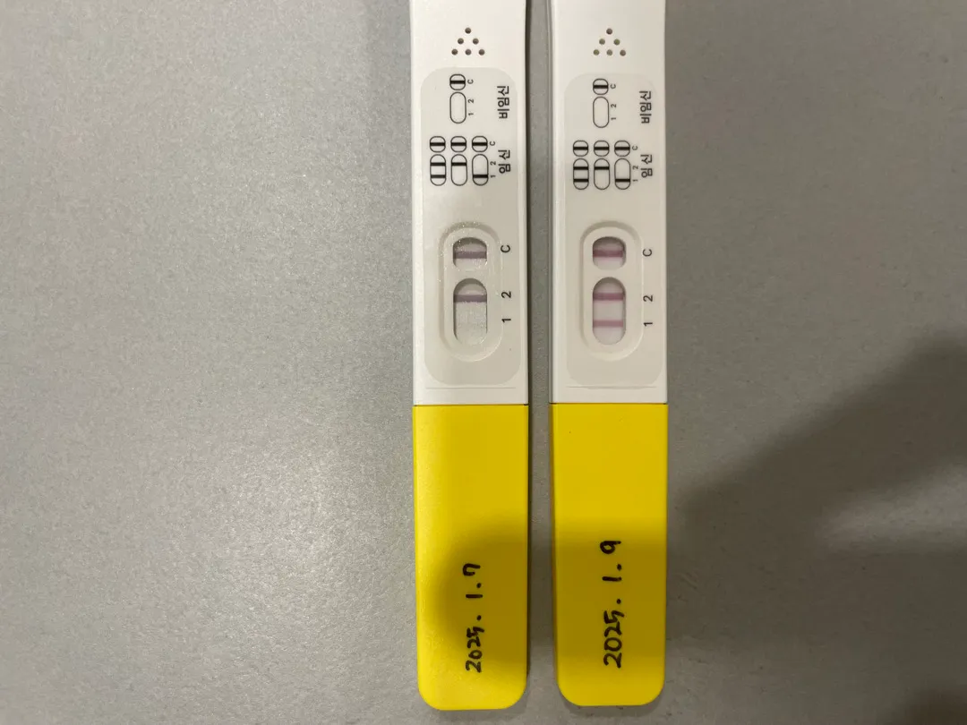 쓰리라인 임테기