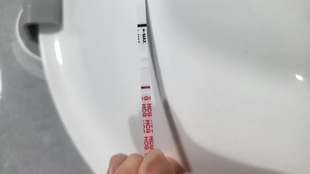 이것이 두줄인가요??