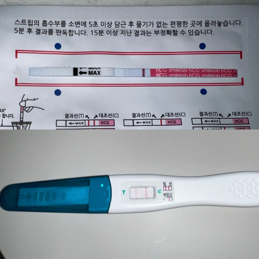 둘째가 찾아왔네요!