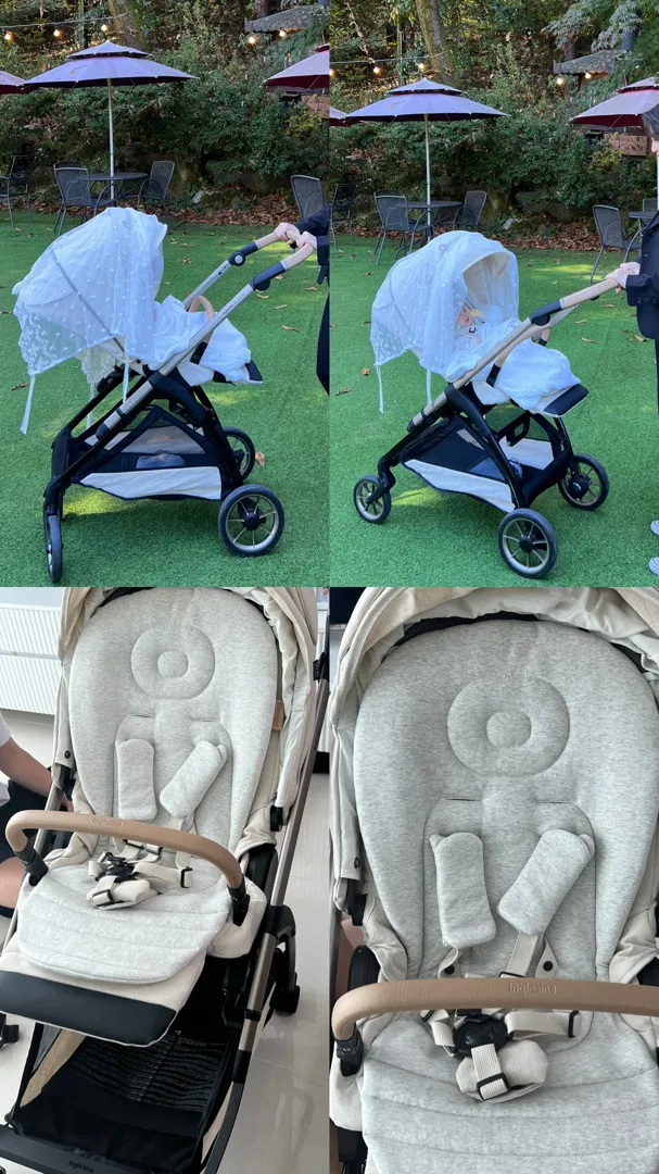 잉글레시나 일렉타 엘리멘트(절충형)후기