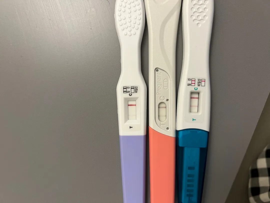 테스트기