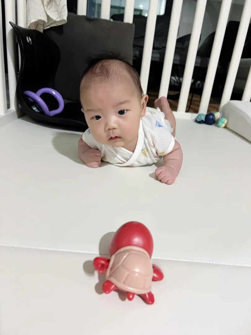 터미타임 장난감 추천합니다ㅏㅏ