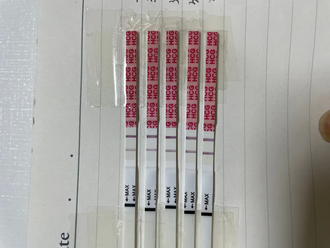 4주 2일 아기집 보일까요?