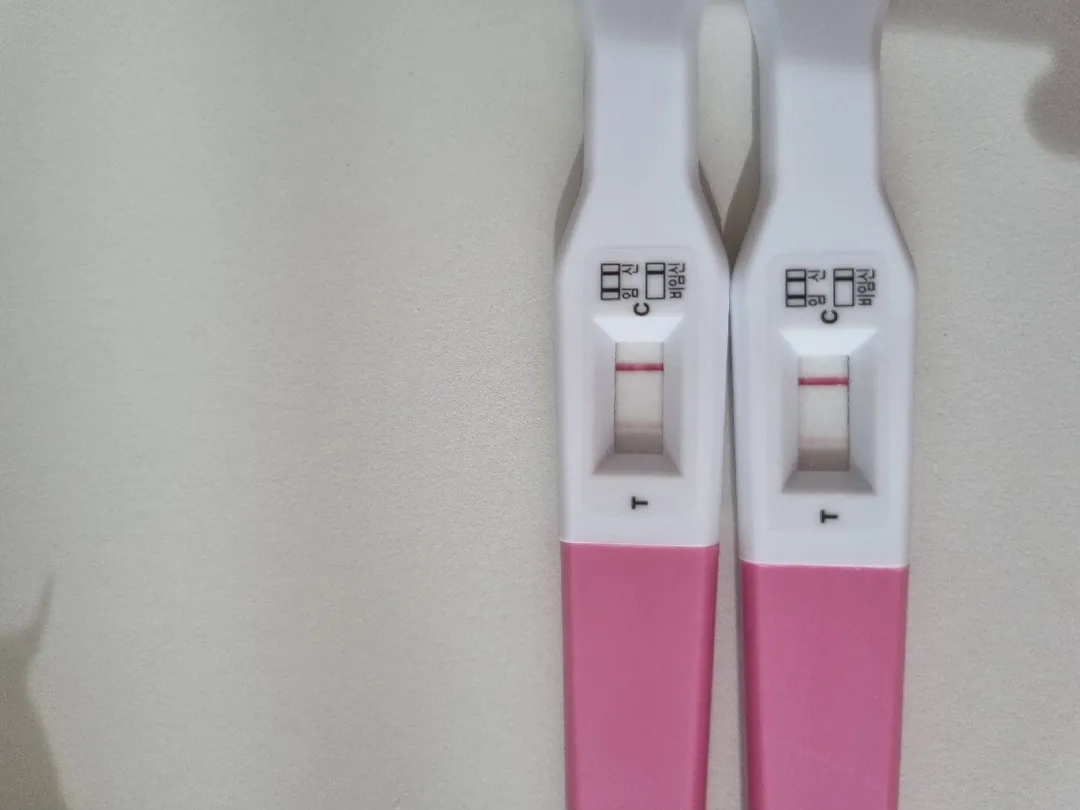임테기 봐주세요