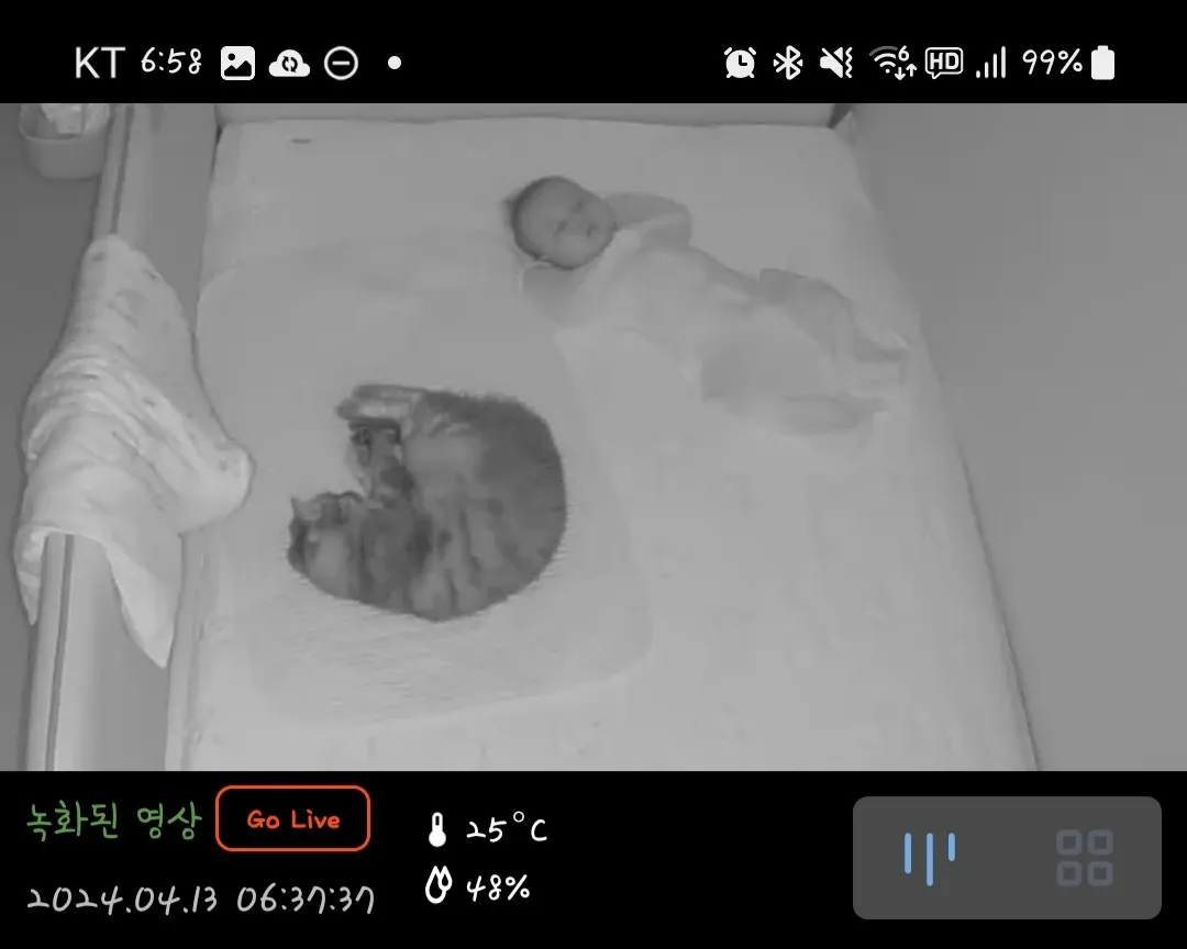 관절들 괜찮으세요?ㅠ 에어컨가동시작후 뼈시림 ㅜㅜ