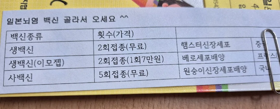 일본뇌염 접종
