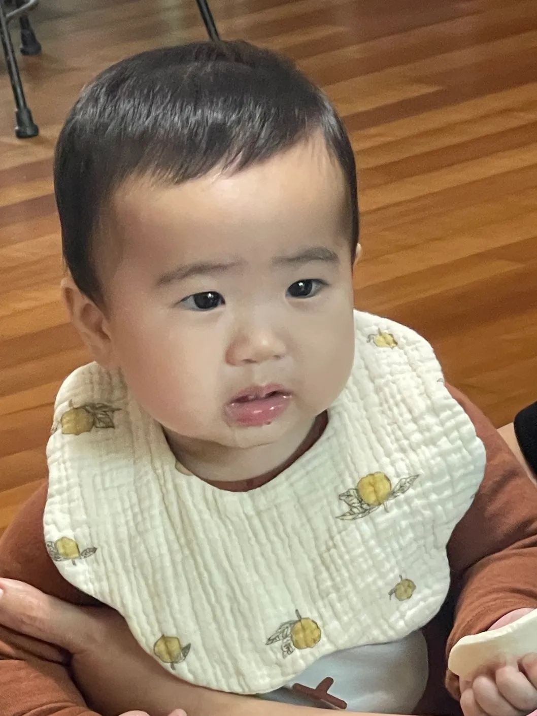 아기 유산균 추천!
