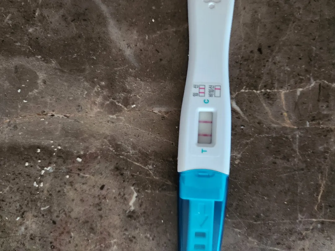 오늘 아침에 확인차 해봤는데요