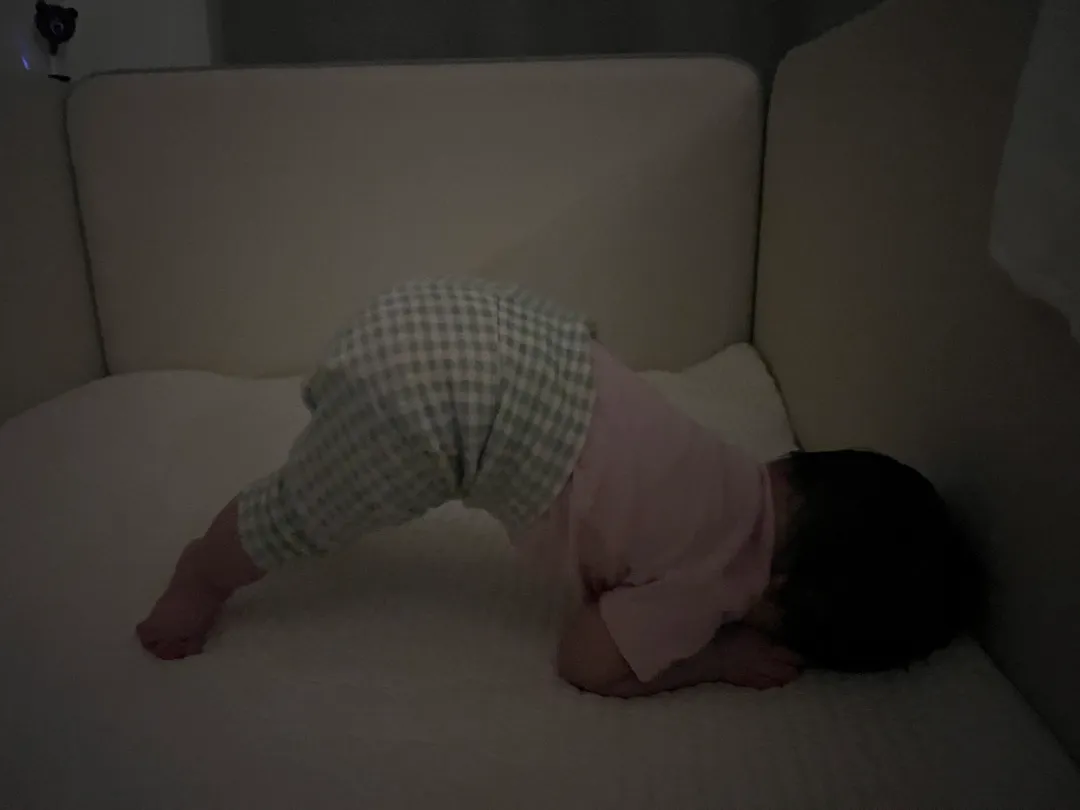 입면시 엎드려뻗쳐 하는 아기