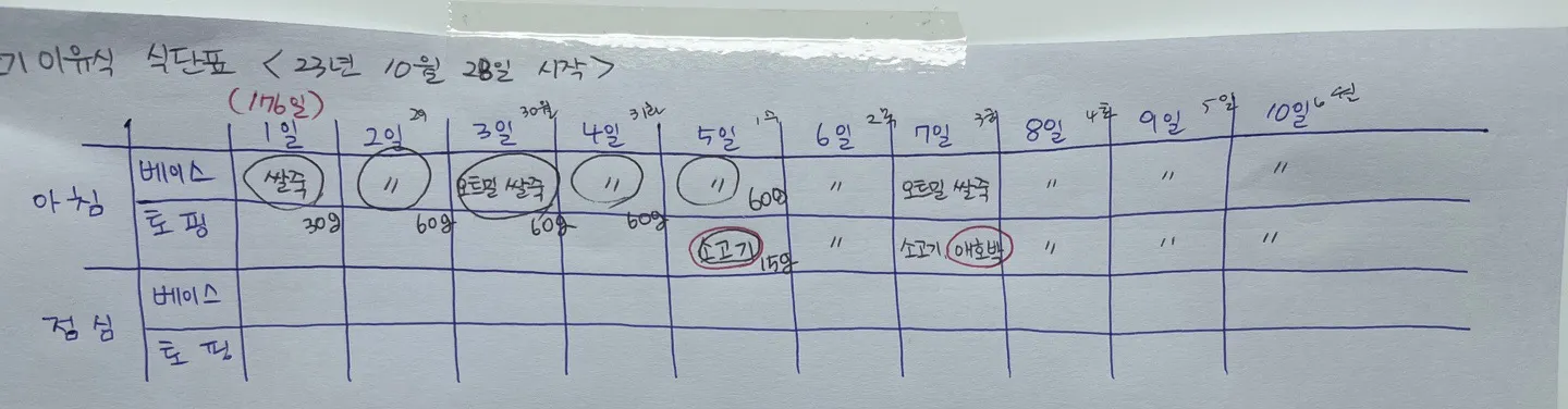이유식 양