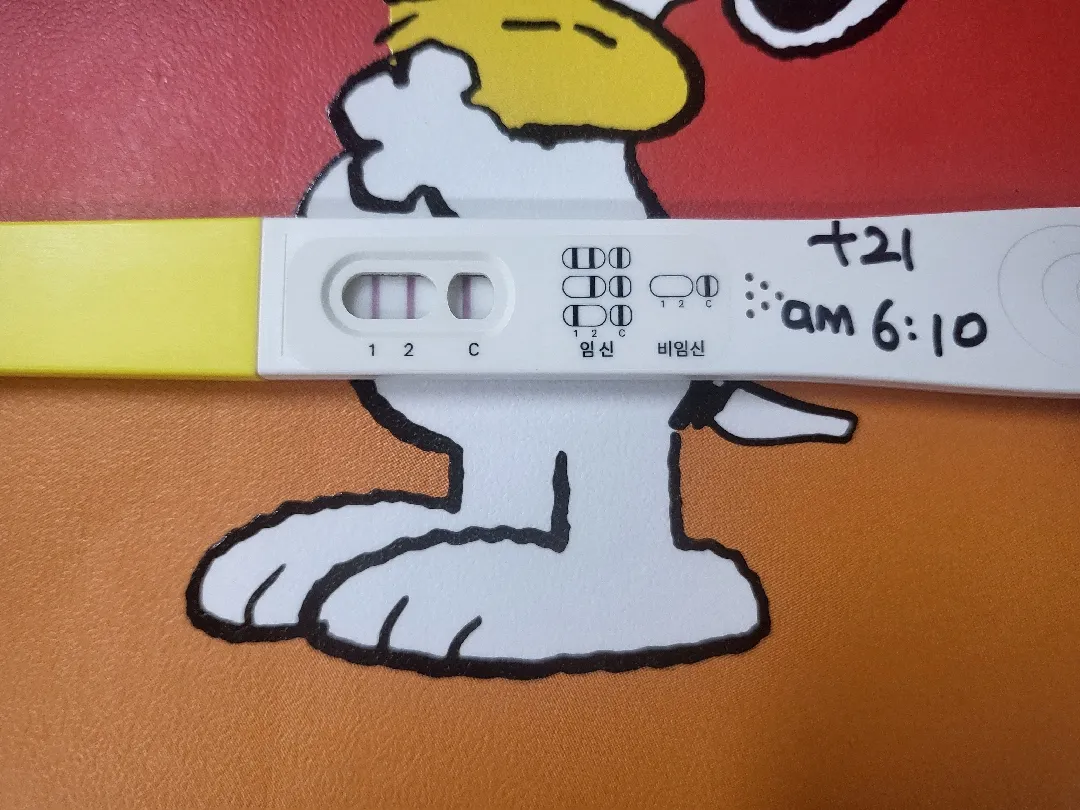 5주 3일입니다 난황 어제 보고 왔어요 ㅎ