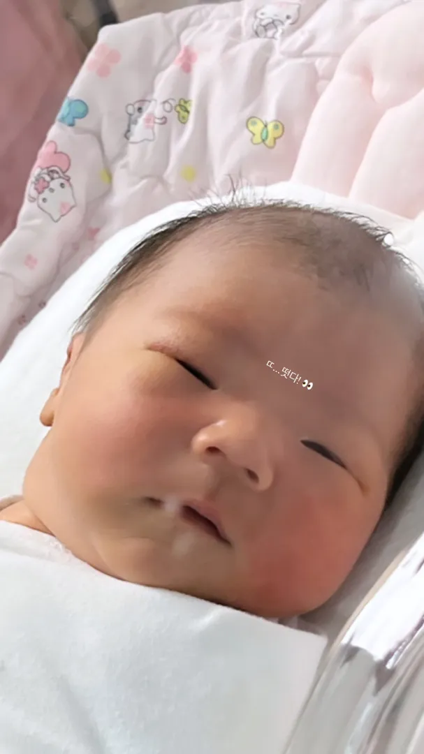 제왕입원실 너무 심심해용 ...