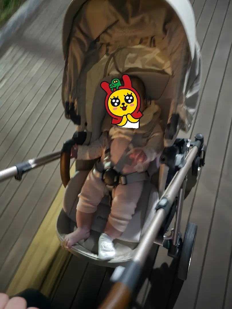 리안솔로 쓰시는 분들 계실까요..?
