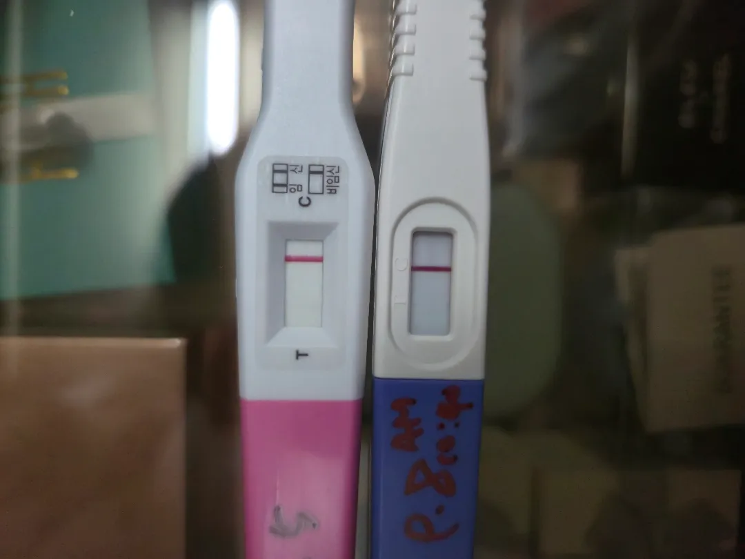 매직아이..? 한번 봐주세요