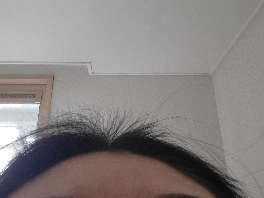 앞머리 잔디 생성중..