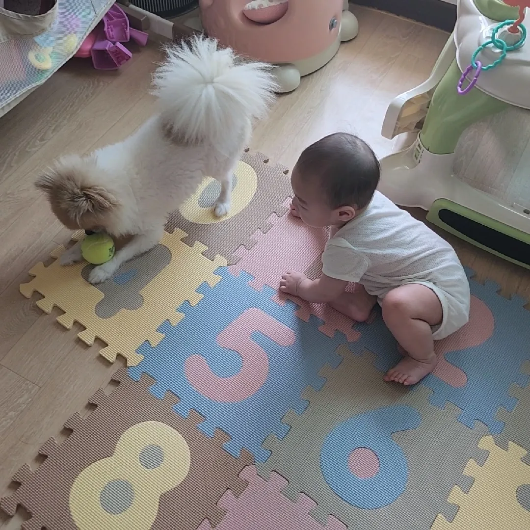 이제 스스로 앉을라고 노력하는 아들~