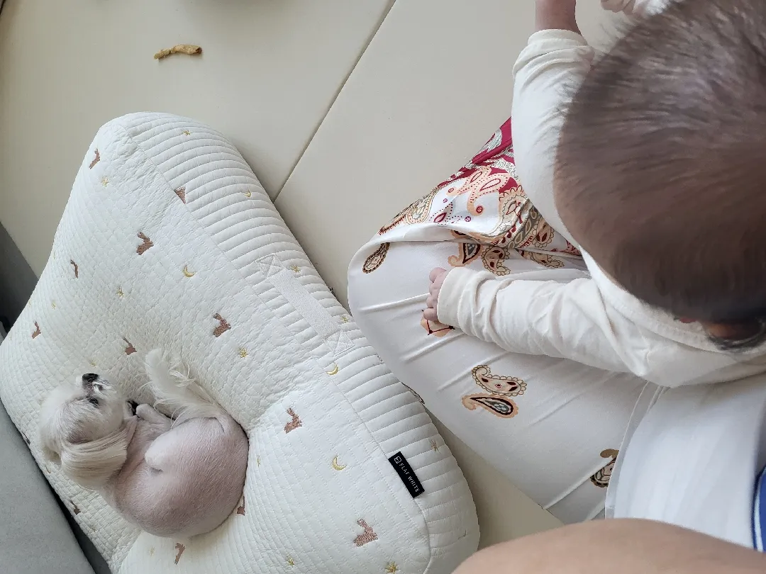 애개일상👶🐶🤍