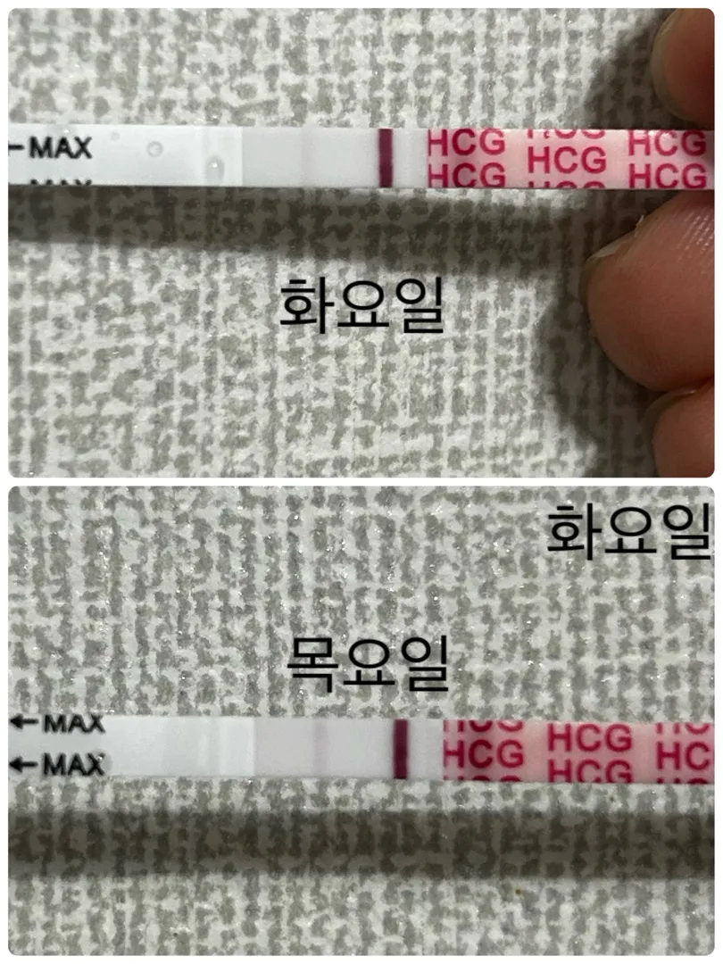 테스트기 봐주세요!!(극초기)
