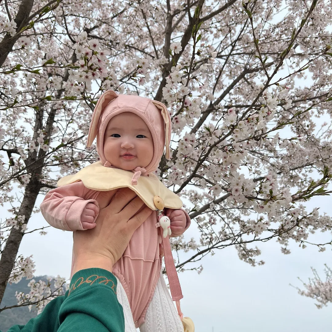 벚꽃샷 막차타볼게요! ☺️