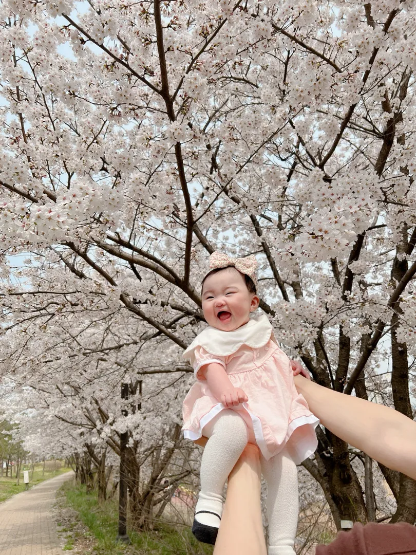 벚꽃구경갔어요🌸
