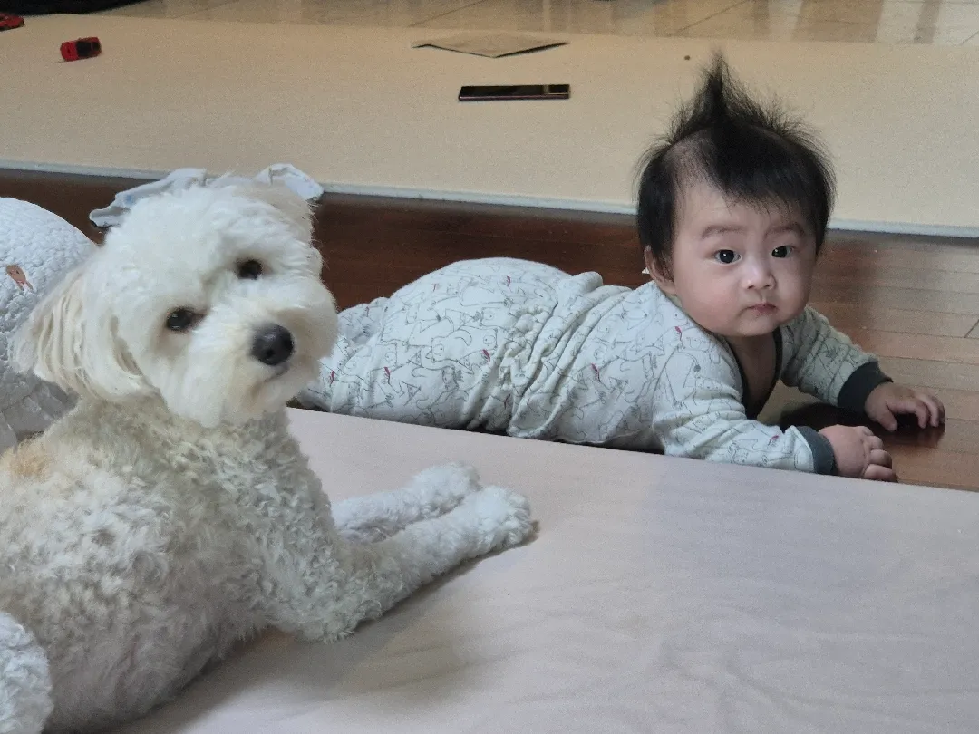 자유부인 돌아왔어요