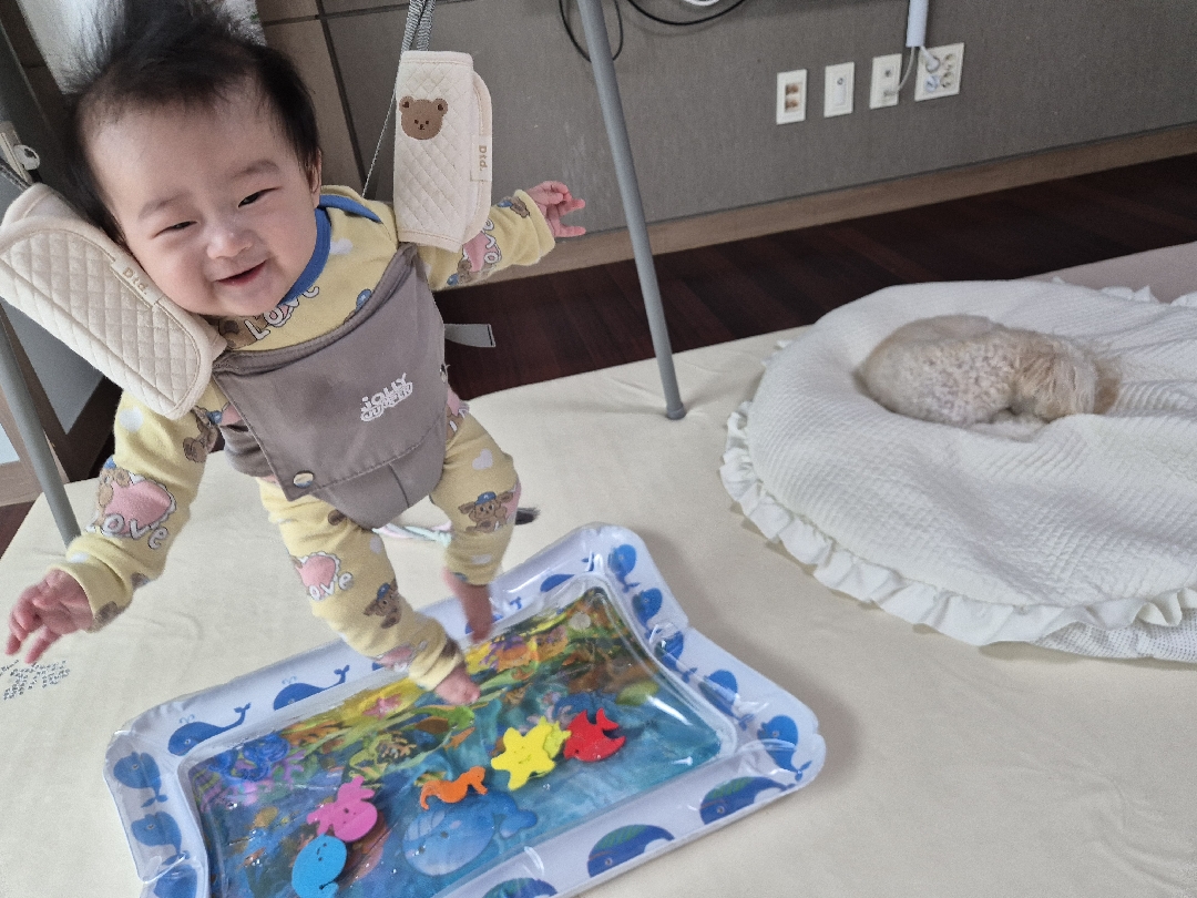 상세 이미지