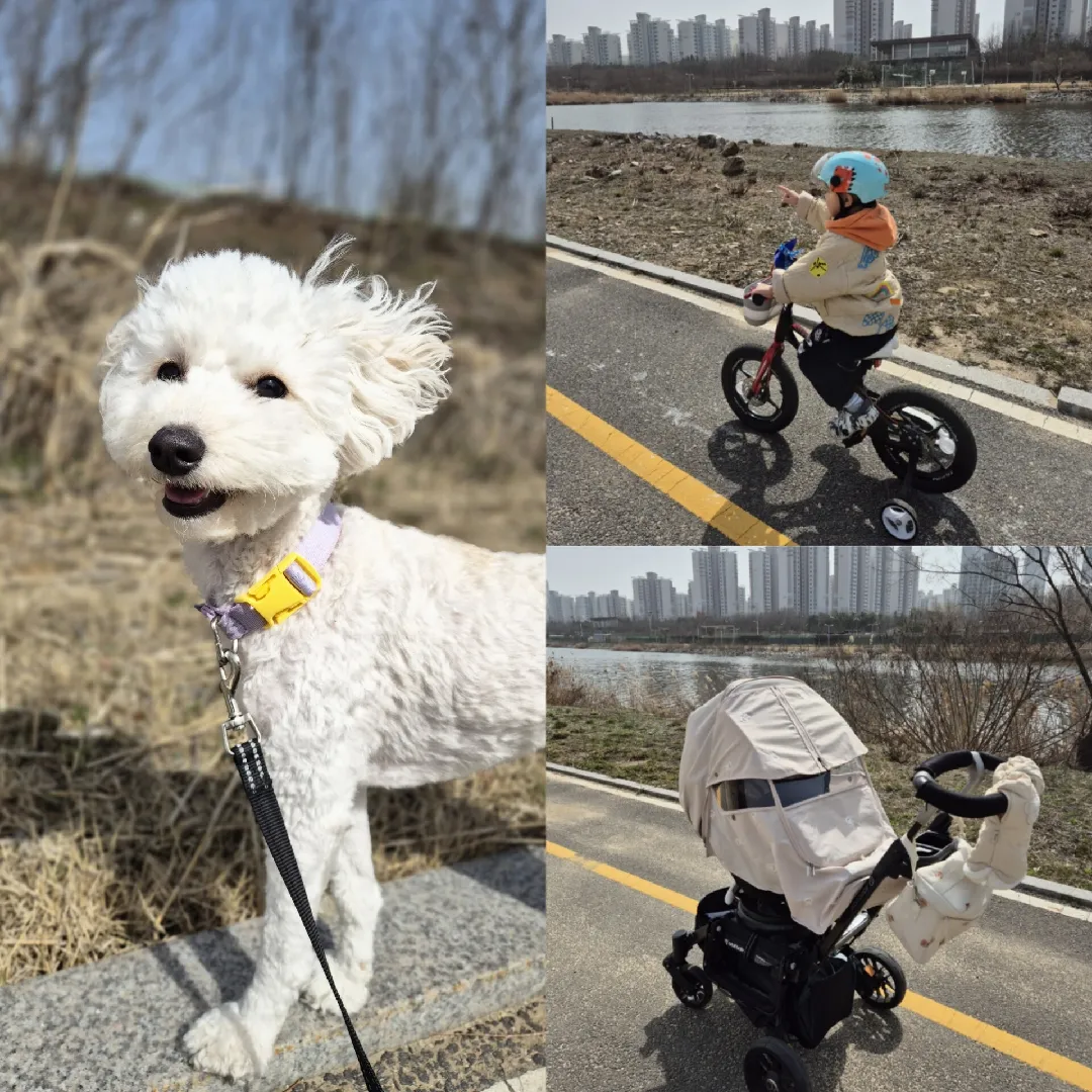 산책 다녀왔어요!