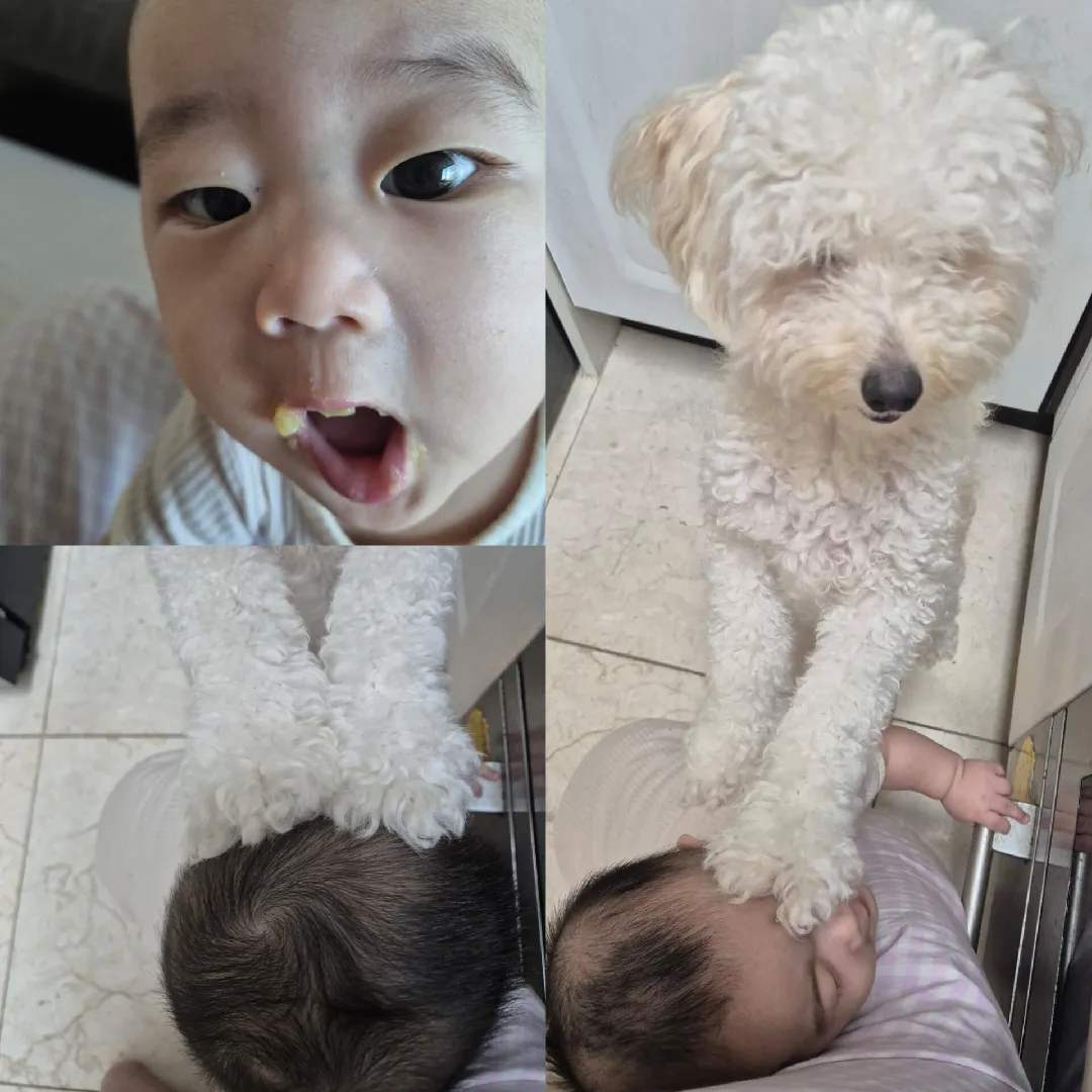 고구마 환장하는 아이들ㅋㅋㅋ