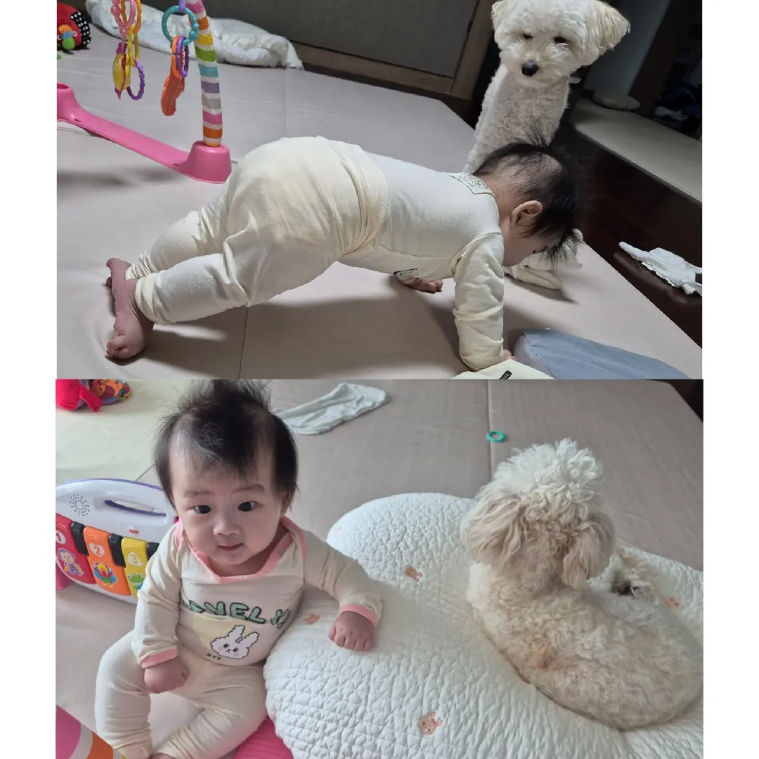 햇살이 군기잡혀 살아요