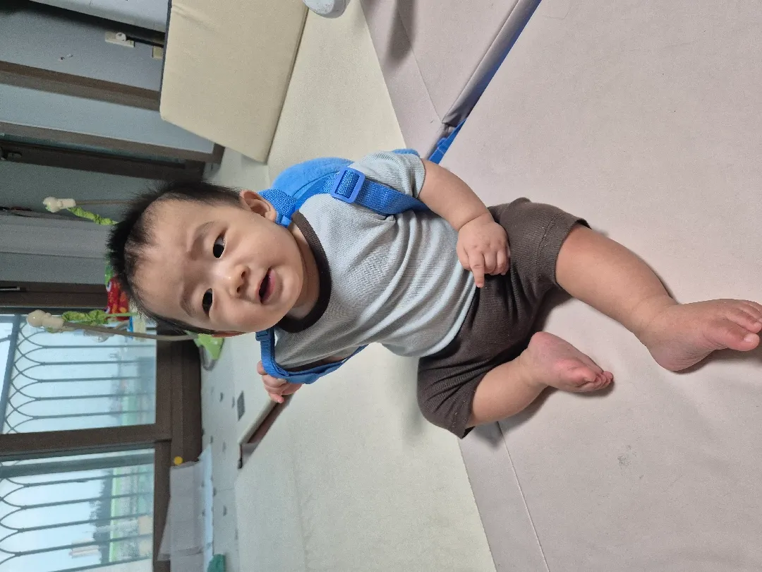 급 세끼 시작했어요 ㅋㅋㅋ